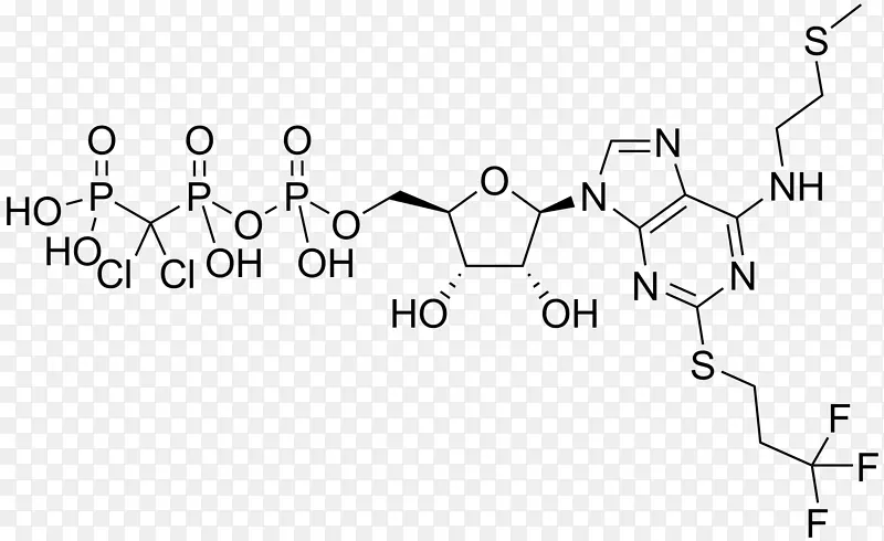 CGS-21680化学化合物Flavin腺嘌呤二核苷酸辅酶环磷酸腺苷