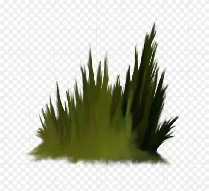 Adobe Photoshoppng图片数字图像PSD摄影.婚礼框架