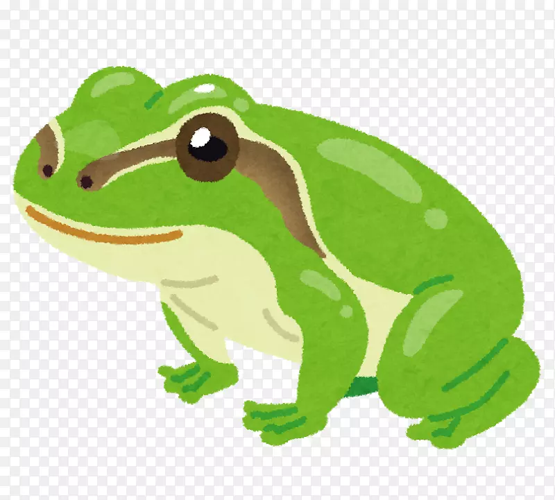 青蛙意思是谚语同义词信息-青蛙