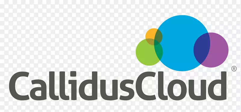 Callidus软件徽标云计算配置价格报价点击工具有限公司。-云计算