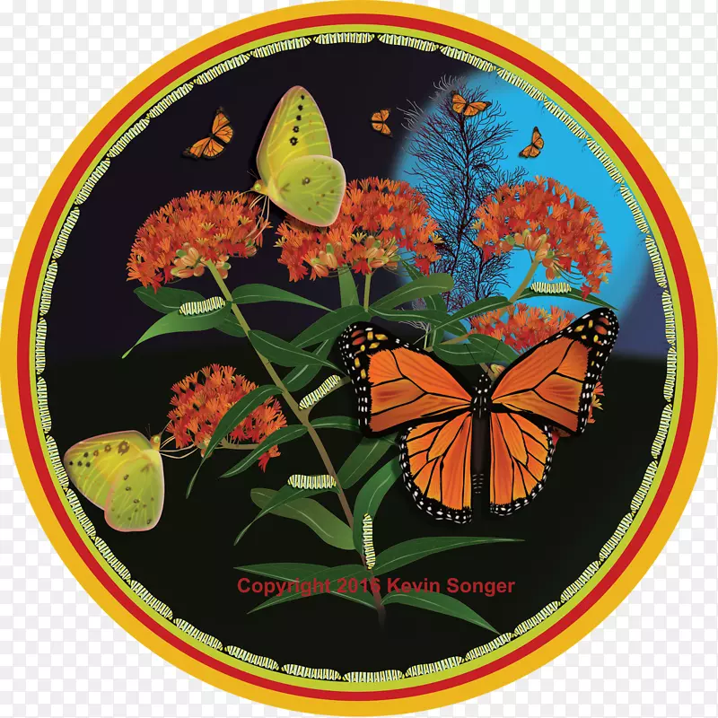 帝王蝴蝶，毛茸茸的蝴蝶，橙色的蝴蝶。标志蝴蝶