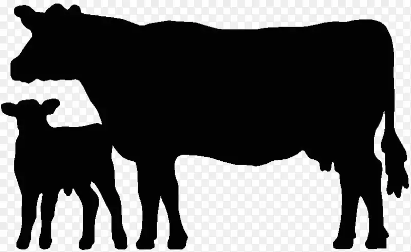 安格斯牛，肉牛，威尔士黑牛，荷斯坦牛，弗里西亚牛，牛犊
