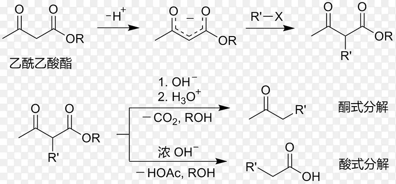 乙酰乙酸乙酯的合成