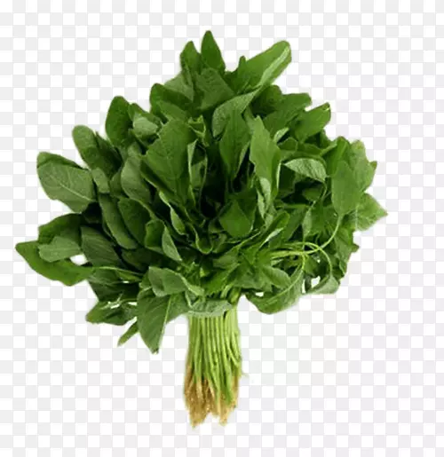 有机食品马蹄莲蔬菜传家宝植物绿色植物-蔬菜