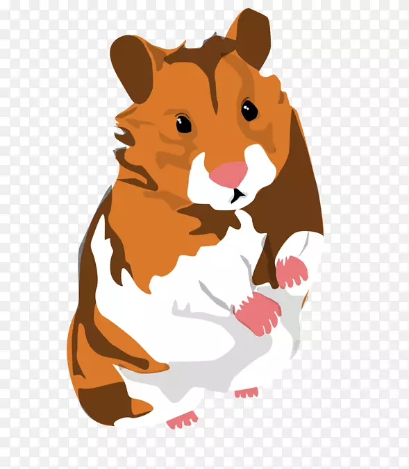 胡须设计狮子猫仓鼠