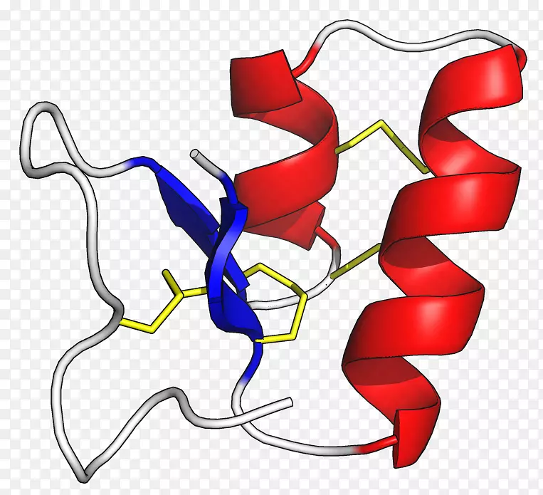 硫蛋白氨基酸植物肽-植物