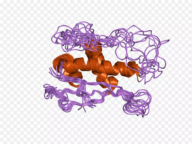蛋白snx 1-山梨素-1基因逆转录-表皮生长因子受体