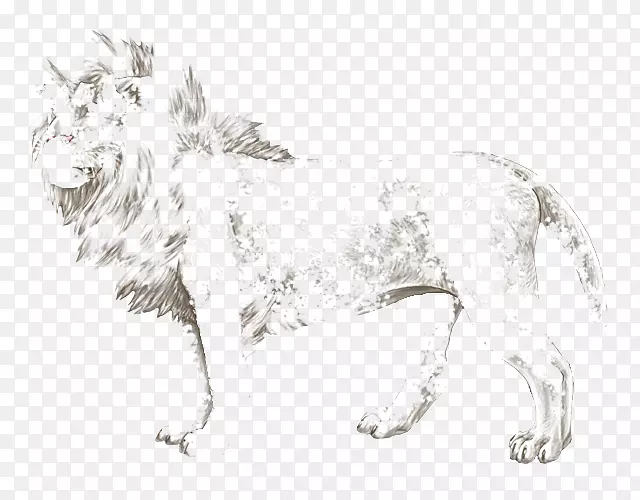 狮子猫狗繁殖豹-狮子