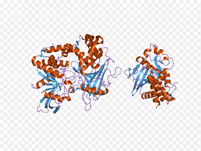 ptprd蛋白酪氨酸磷酸酶受体图