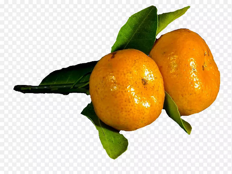 克莱门汀橘子橙朗普尔橘子柠檬