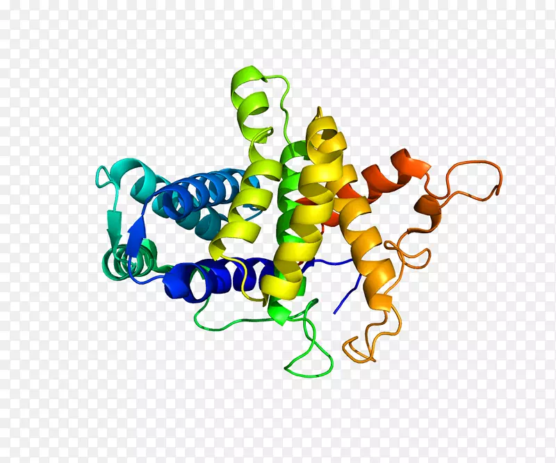 qsox 1硫醇氧化酶蛋白-flli Fontana