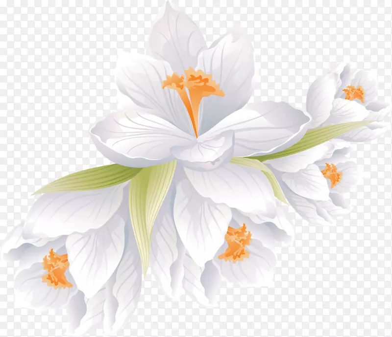 花束剪贴画png图片花卉设计.花