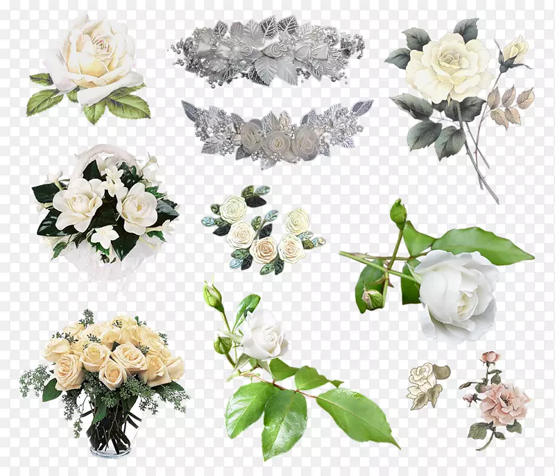 花园玫瑰剪辑艺术花卉png图片-玫瑰