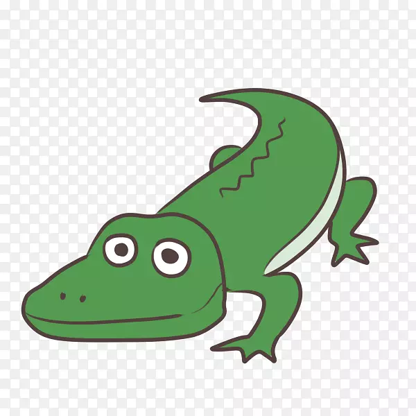 青蛙、鳄鱼、海龟、蛇、金龟子-青蛙