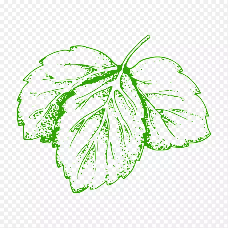 蔬菜插图图像叶png图片.蔬菜