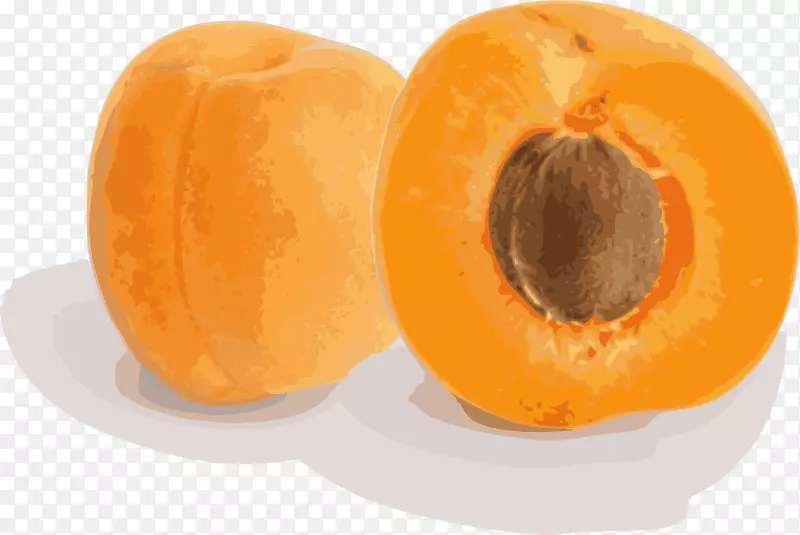 杏果树亚美尼亚梅子-杏