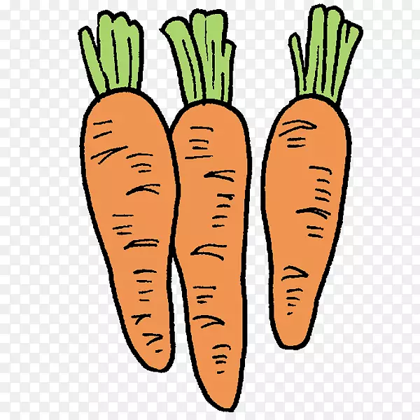 胡萝卜插图剪贴画植物文字-胡萝卜