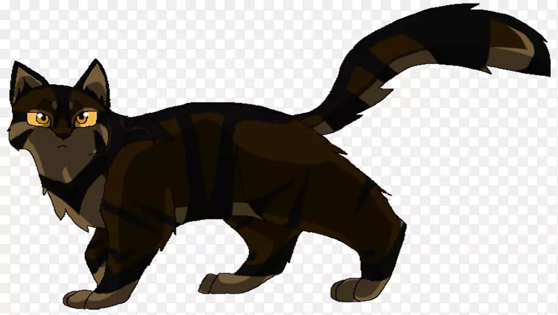 黑猫小猫武士DeviantArt-cat