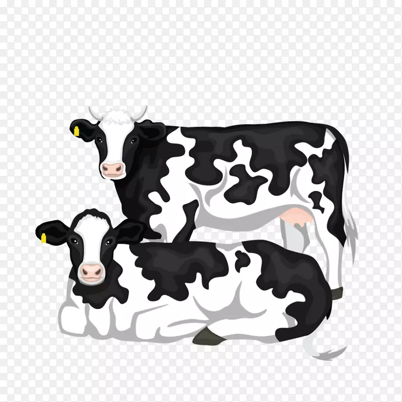 奶牛、荷斯坦牛、弗里西亚牛、巴卡牛、瑞士牛、艾尔夏牛、牛