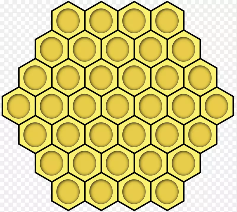 西方蜜蜂蜂巢夹艺术蜂巢