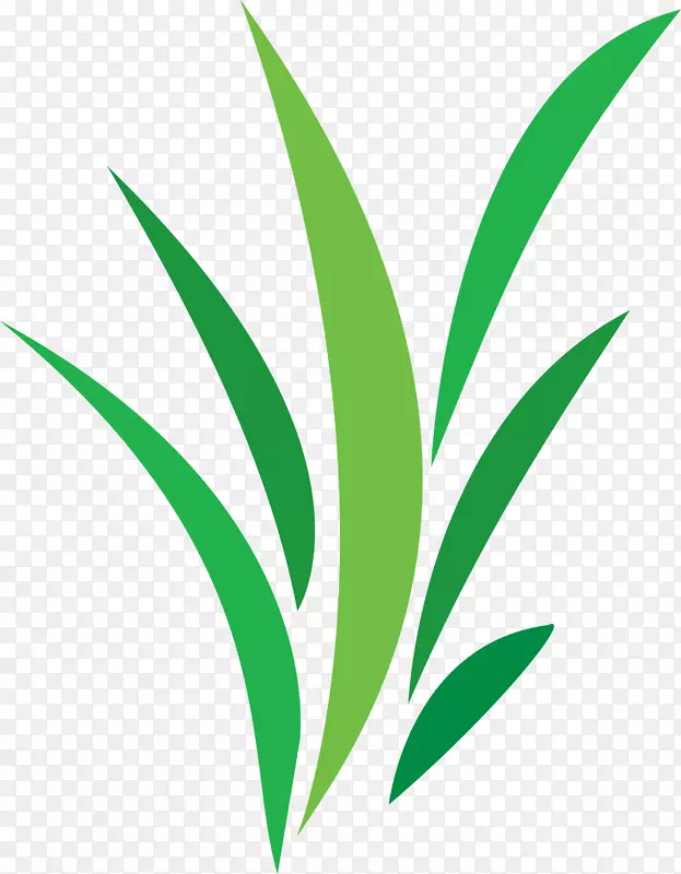 D‘co vertepng图片植物绿色图像-植物