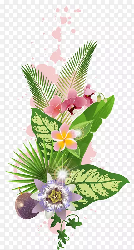 图形剪辑艺术热带花卉设计.花卉