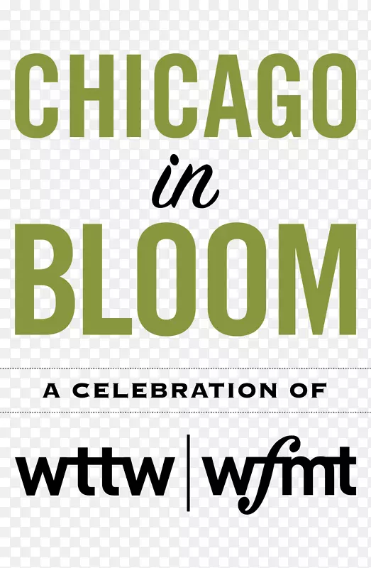 芝加哥标志品牌WTTW字体-执行董事会成员礼品