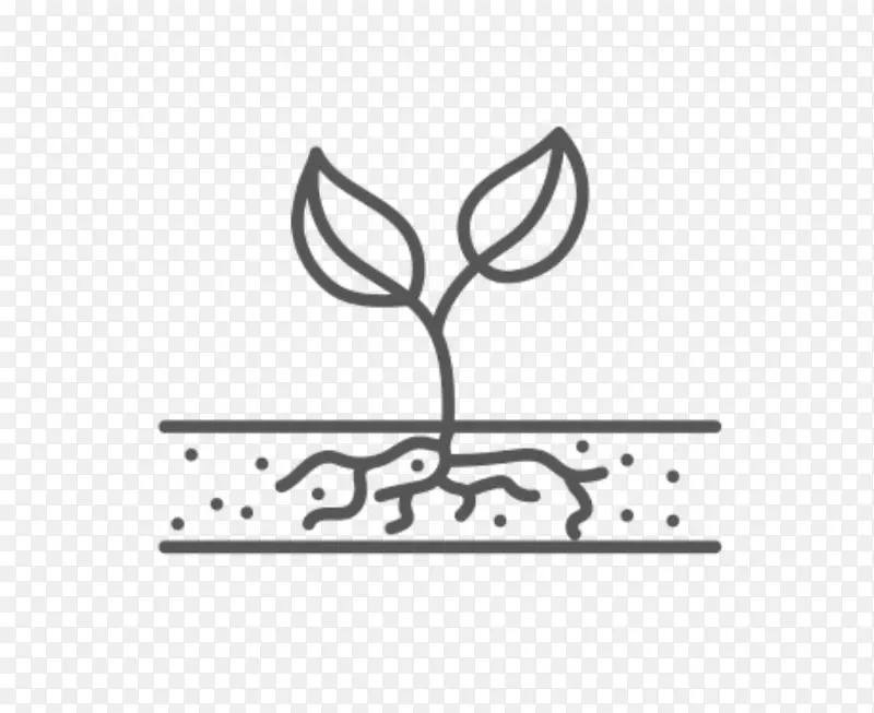 植物果树种子标志-植物
