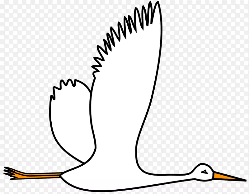 鸟类迁徙剪辑艺术文本水鸟鼻翼