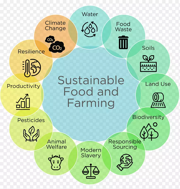 可持续食品和农业可持续发展-负责任的饮料服务器