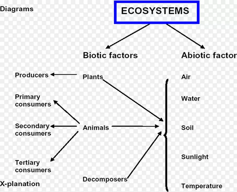 生态系统生态学文献分解者限制因素