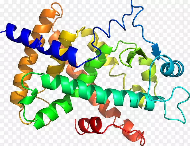 分子生物学蛋白质氨基酸剪贴画