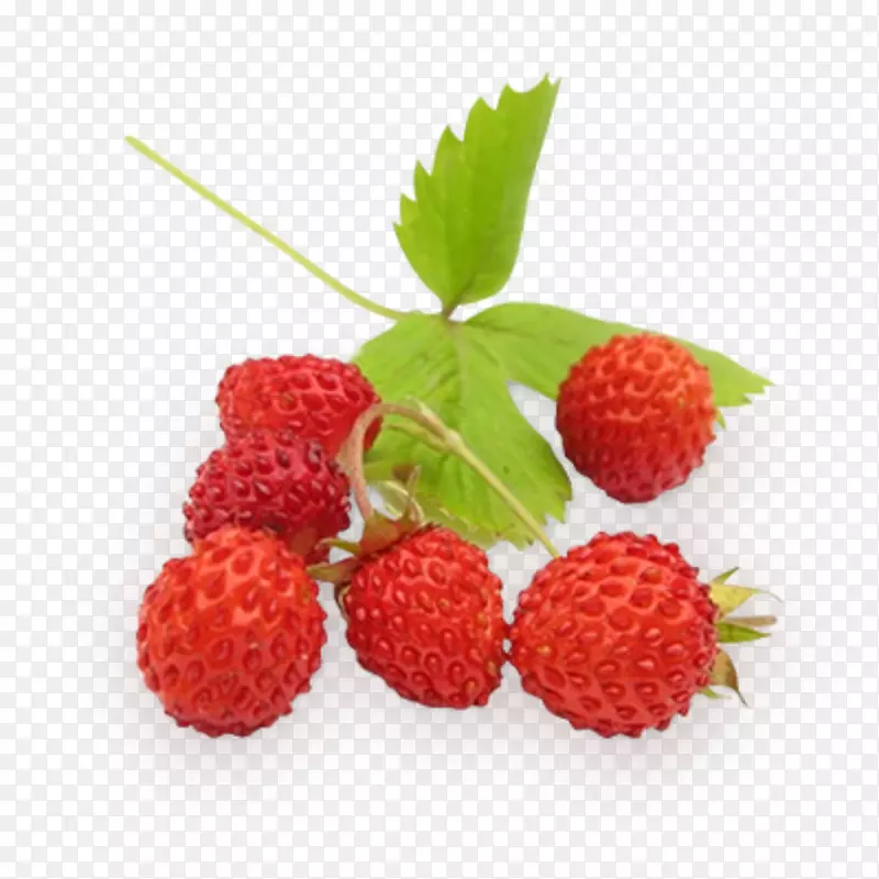 野生草莓浆果覆盆子草莓