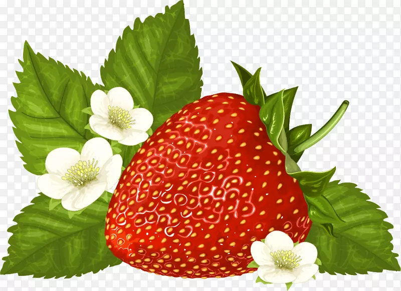 图形剪辑艺术图像插图草莓花