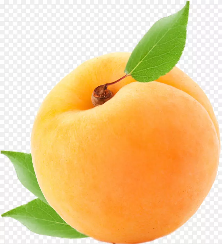 杏食桃子李杏