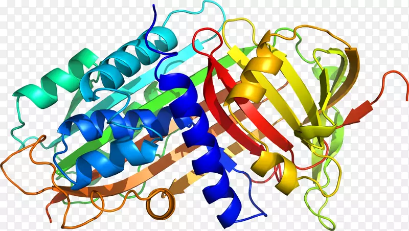 α-1-蛋白酶抑制剂α1-抗胰蛋白酶缺乏症中性粒细胞弹性蛋白酶肺气肿