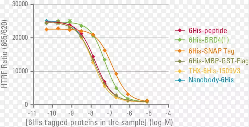 蛋白质标记聚组氨酸-标记谷胱甘肽s-转移酶