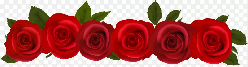 png图片剪辑艺术玫瑰开放部分图像-玫瑰