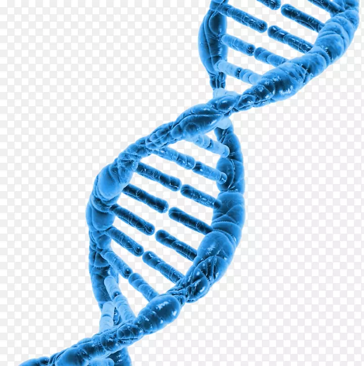 姓氏DNA计划细胞脱发基因组