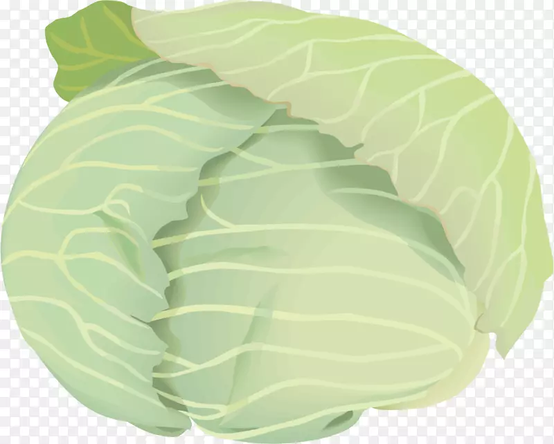 Colard greens卷心菜免费插图公共领域-卷心菜
