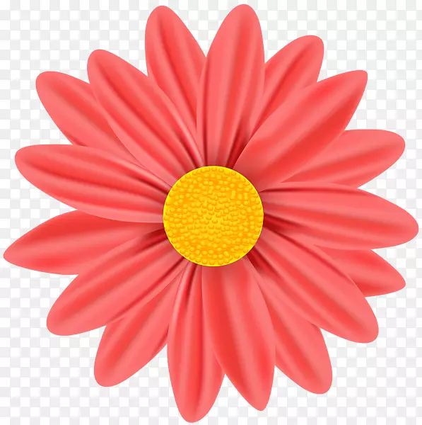 图形插图摄影版税免费.xchng-雏菊图像