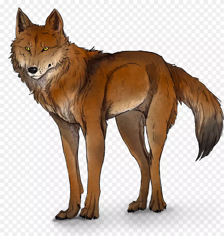红狐狼