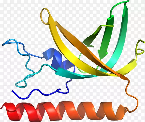 剪贴画生产线有机体特殊奥运区域m-蛋白生物合成