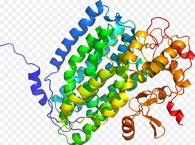 fnta fntb法内转移酶1型酶