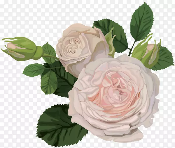 花园玫瑰花玫瑰png图片花卉设计