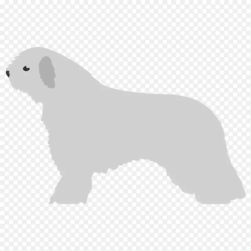 犬种非体育团体熊繁育组(狗)-狗
