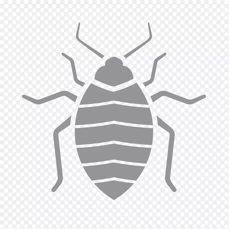 害虫防治除虫剂白蚁-昆虫