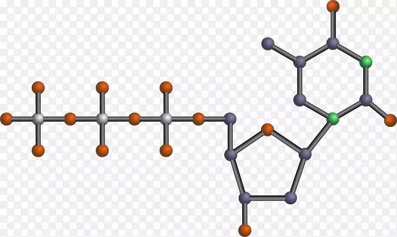 核苷酸剪贴术三磷酸腺苷dna载体图形.三磷酸