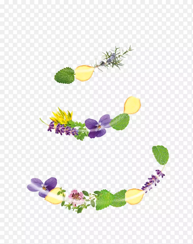 花卉设计产品图形字体