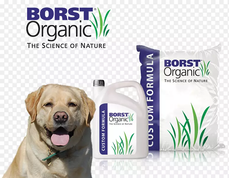 犬种小狗品牌产品-狗